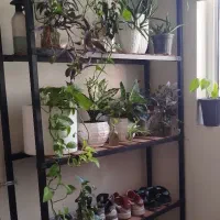 تخت و رگال|تخت و سرویس خواب|تهران, زرکش|دیوار