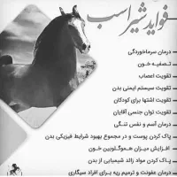 شیر اسب مهریز