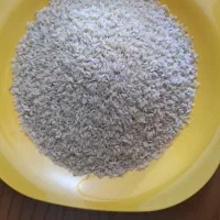 برنج چمپا منطقه چین