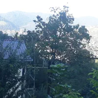 زمین مسکونی ۳۸۳ متری