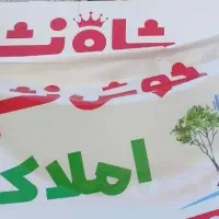فروش-دو-باب-مغازه-تجاری-بر-اصلی-سعیدی