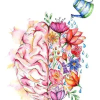 مشاوره و راهنمایی