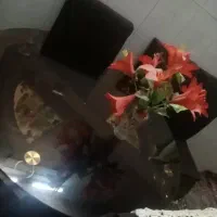 میز ناهار خوری چوبی|میز و صندلی غذاخوری|مشهد, ابوذر|دیوار