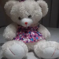 خرس نو