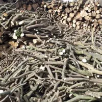 خرید و فروش چوب مرکبات و غیره