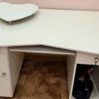 انواع ظروف عروسک و...