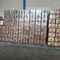 استخدام‌نیروی خانم