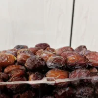 خرما|خوردنی و آشامیدنی|شیراز, اصلاح‌نژاد|دیوار