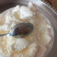 کره محلی گاوی