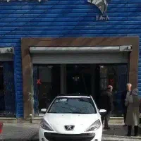 ۲۰۷ پانا صفر|خودرو سواری و وانت|کرمانشاه, |دیوار