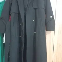 پالتو