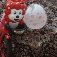 دوچرخه گم شده