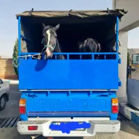 اسبکش