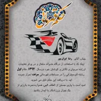 آموزش رانندگی توسط مربی فدراسیون اتومبیلرانی|خدمات آموزشی|اصفهان, طامه|دیوار