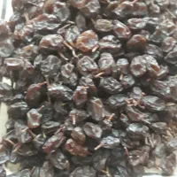 کشمش آفتابی صد در صد ارگانیک