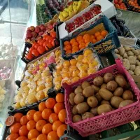 پالت میوه فروشی