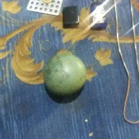 ساعت مچی|ساعت|سبزوار, قصبه شرقی|دیوار