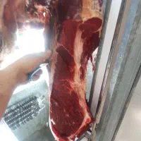 گوشت گوساله درجه یک|خوردنی و آشامیدنی|اصفهان, جاوان|دیوار