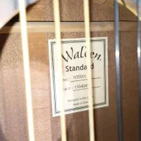 گیتار walden|گیتار، بیس، امپلیفایر|طاهرگوراب, |دیوار