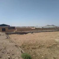گله دانی و مزرعه