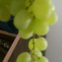 خوردنی وصنایع تبدیلی