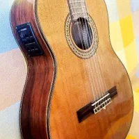 گیتار کلاسیک پالادو سِری CG-120c