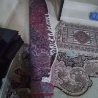 قالی نجف آبادی 12 متری|فرش|اصفهان, شاهزید|دیوار