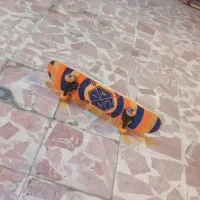 اسکیت برد
