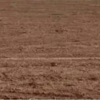 زمین ۲۰۰ متری در اسدآباد