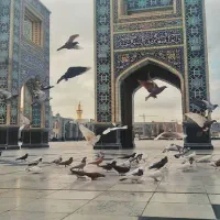 تور ریلی و هوایی مشهد ویژه روز پدر