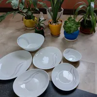 ظروف غذا خوری