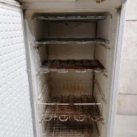 فریزر پارس