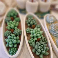 حراجی انواع شمع های دکوراتیو سنگی ،دریا ،کاکتوس|صنایع دستی و سایر لوازم تزئینی|تبریز, |دیوار