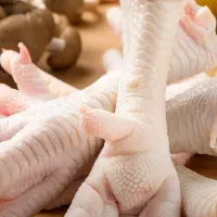 پای ضایعاتی برای حیوان