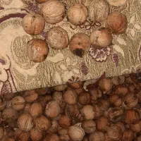 گردودرجه یک پوست کاغذی مغزسفید|خوردنی و آشامیدنی|کرمانشاه, |دیوار