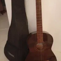 گیتار حرفه ای