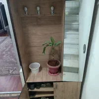 جا کفشی