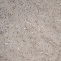 برنج فجر سوزنی خوش عطر