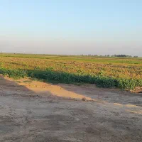 برنجکوبی|اجارهٔ دفتر صنعتی، کشاورزی، تجاری|اهواز, اهواز|دیوار