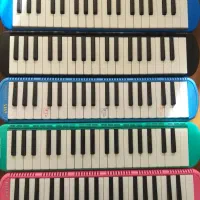 ملودیکا یا ساز بادی با تمپو ضرب تمبک داربوکا بادی|سازهای بادی|مشهد, طلاب|دیوار