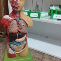 لوازم آزمایشگاه مدرسه