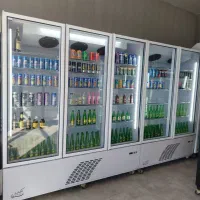 یخچال ویترینی زاگرس ۳درب ۲درب