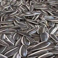 ۴۰۰کیلو تخمک آفتاب گردان خارجی درشت s400|عمده‌فروشی|شیراز, سعدیه جنوبی|دیوار