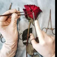 تزریقات (سرم اطفال و بزرگسال)