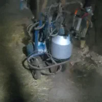 شیر دوش