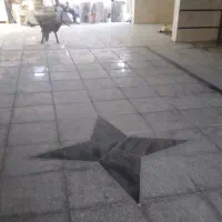 سنگ و سرامیک .کف وبدنه|خدمات پیشه و مهارت|خرم‌آباد, |دیوار