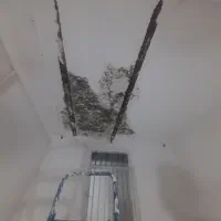 لکه گیری گچ پذیرفته میشود