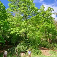 فروش زمین در پارک شهر  رشت