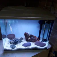 آکواریوم شرکتی