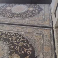 دو تخته فرش ۱۲متری گل برجسته طلاکوب سالم در حد نو|فرش|تهران, تهرانسر غربی|دیوار